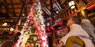 Celebrate the magic of the holidays in Petite Nation