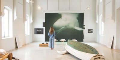 Details of the exhibition “Dans l'œil du béluga” (Through the Eyes of a Beluga) by Maryse Goudreau at the Centre d'art de Kamouraska.