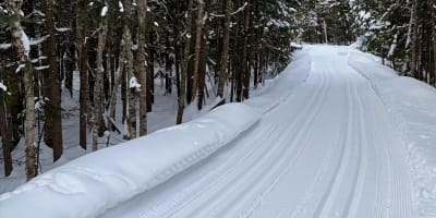 Cross-country ski trail at the Centre de ski de fond et raquette d’Estérel.