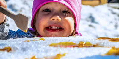 Forfait Séjour cabane à sucre. 
