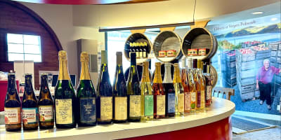 Comptoir et étalage de cidres. 