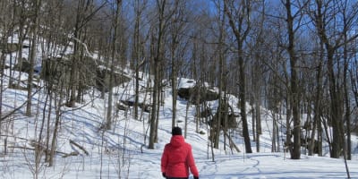 walker on a snowy trail.