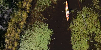 Circuit canotable des marais de la Fitzpatrick.