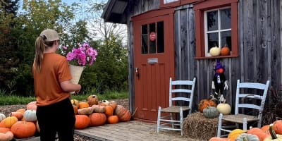 Display of squash and pumpkins, Pumpkins & Co.