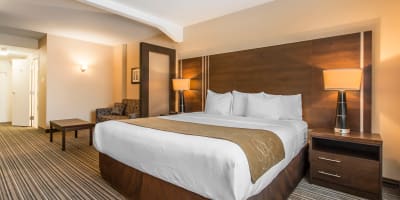 Comfort Suites Downtown - Room with a bed and sofa