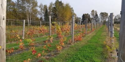 Domaine Côte du Nord Inc.