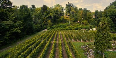 Domaine des 3 moulins