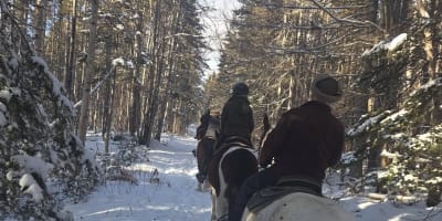 Horse riding Centaure - Forillon