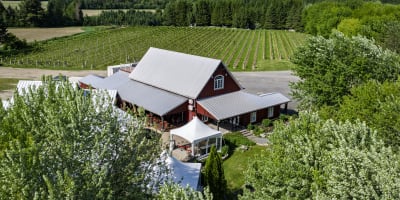 Domaine Gélinas Vineyard.
