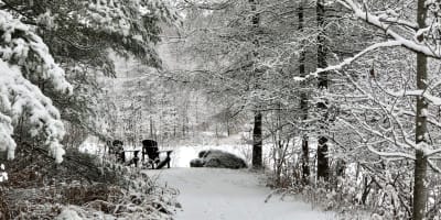 Offrez le Domaine Jolivent en cadeau. 