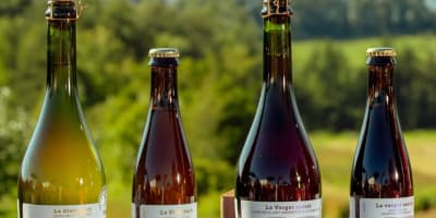 Cider selection from Domaine Steinbach - Cidrerie B&B, Distillerie, in the heart of Île d’Orléans.