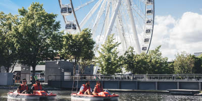 Pedal boat ride in the Old Port.