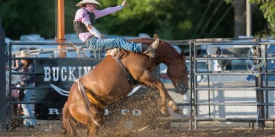 Exposition agricole de Trois-Rivières - Rodeo