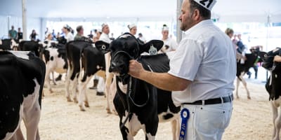 Exposition agricole Régionale Rive-Nord.