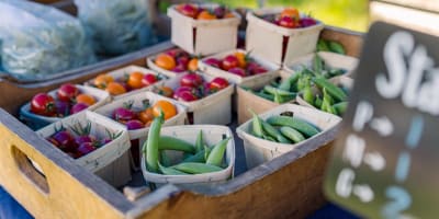 Ferme aux Petits Oignons.