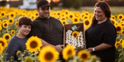 A family of farmers tending garlic in a sunflower field.