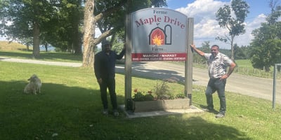 Maple Drive Farm.