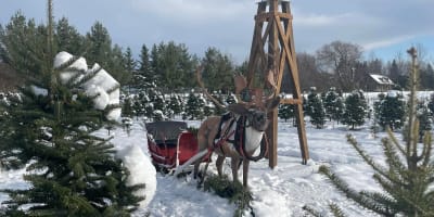 Ferme Noël d'Antan. 