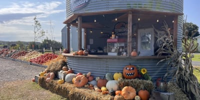 Pumpkin stands at Ferme Roberge et Gosselin.