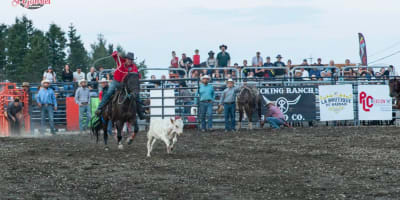 Rodeo.