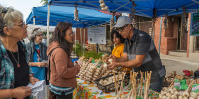 Festival de l’ail.