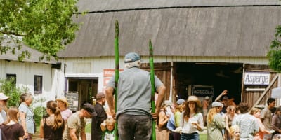Festival de l'asperge