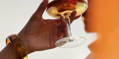 Festival des vins et spiritueux de Laval
