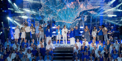 Artistes sur scène de la La Fête nationale du Québec à Montréal.