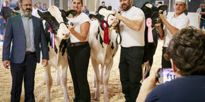 Foire agricole de Landrienne.