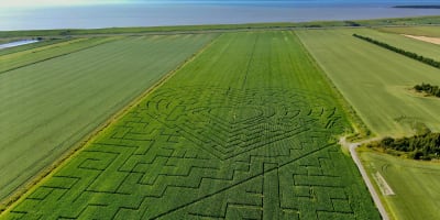 Vue aérienne du Grand labyrinthe Kamouraska.