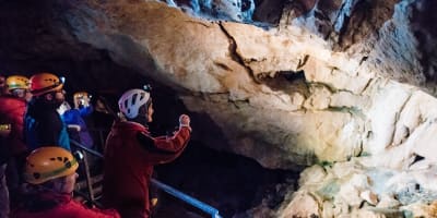 Visite de l'une des grottes de Grotte de Saint-Elzéar.