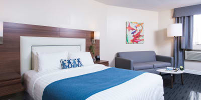 Bedroom with 1 bed and a sitting area.