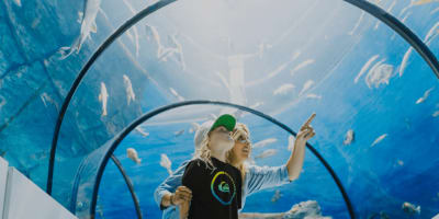 A mother and her son watching fish in an indoor aquarium.