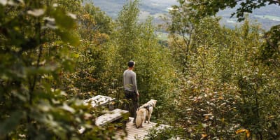 "Hôtel-Château Bromont – a man with his dog gazes into the distance from the mountaintop