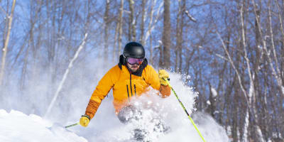 Hôtel Le Versailles Saint-Sauveur : Ski.
