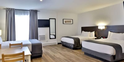 Hôtel NEWSTAR