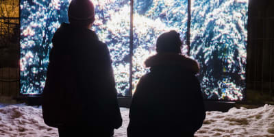 Art public - tableau vidéo de Mathieu Valade, au Jardin d'Hiver 2021.