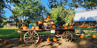 La brouette à légumes... citrouilles et sorcellerie.