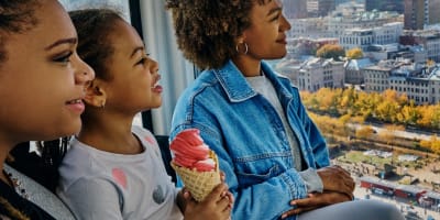 Family in a cabin of the Grande Roue.
