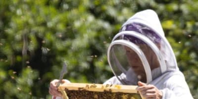 Woman beekeeping.
