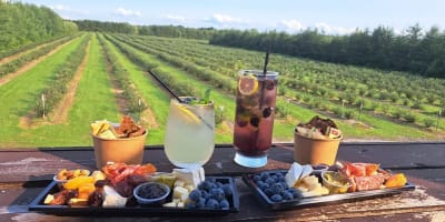 Cocktails and a charcuterie platter with a view of the fields.