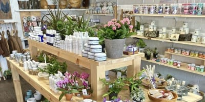 Shop, Lavandine et cie.