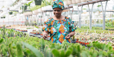 A woman in a greenhouse.