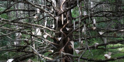 A Land Art installation created by André Ménard as part of the 2025 edition of Les Éphémères de Lac-Beauport.