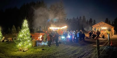 Christmas tree lit up at night with festive evening.