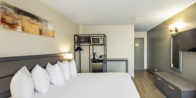 Les Suites de Laviolette