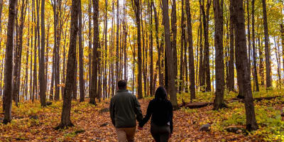 Couple marchant dans un paysage coloré d'automne.