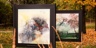 Art extérieur en automne.