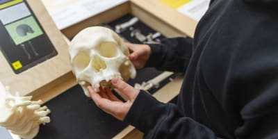 Exposition sur l'archéologie et enquêtes criminelles.