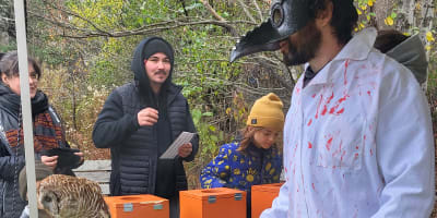 Animateur costumé à La Marche aux mille mystères